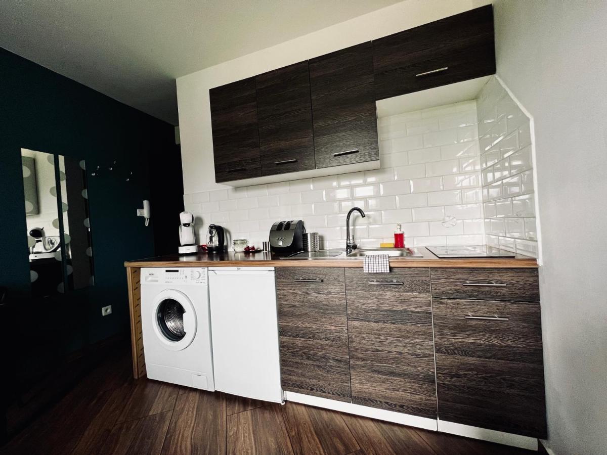 Nalu Apartments No 10&17 Katowice Buitenkant foto
